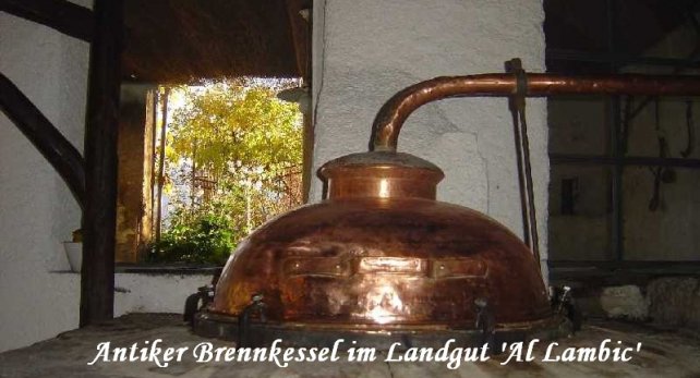 aktivgalerie18