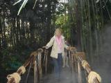 Der Botanische Garten in Gardone Riviera -ein Naturparadies am Gardasee