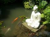 Der Botanische Garten in Gardone Riviera ist Ort der Harmonie 