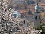 Rovereto ist das Zentrum der Mozartpflege in Italien