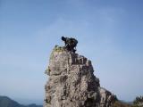 Im Naturpark Obergarda am Gardasee findet man viele seltene Pflanzen