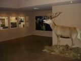 Besucherzentrum des Naturparks Obergarda in Tigfnale am Gardasee