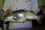 Eine Spezialitt der Osteria La Miniera ist Fisch